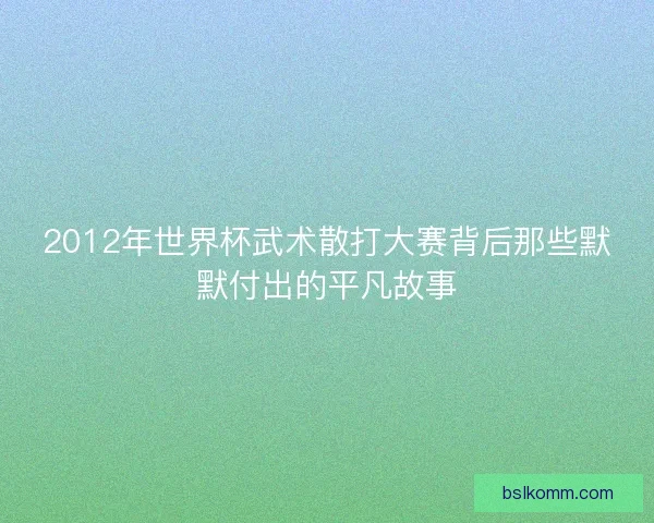 2012年世界杯武术散打大赛背后那些默默付出的平凡故事